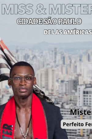 Mister Perfeito Ferraz